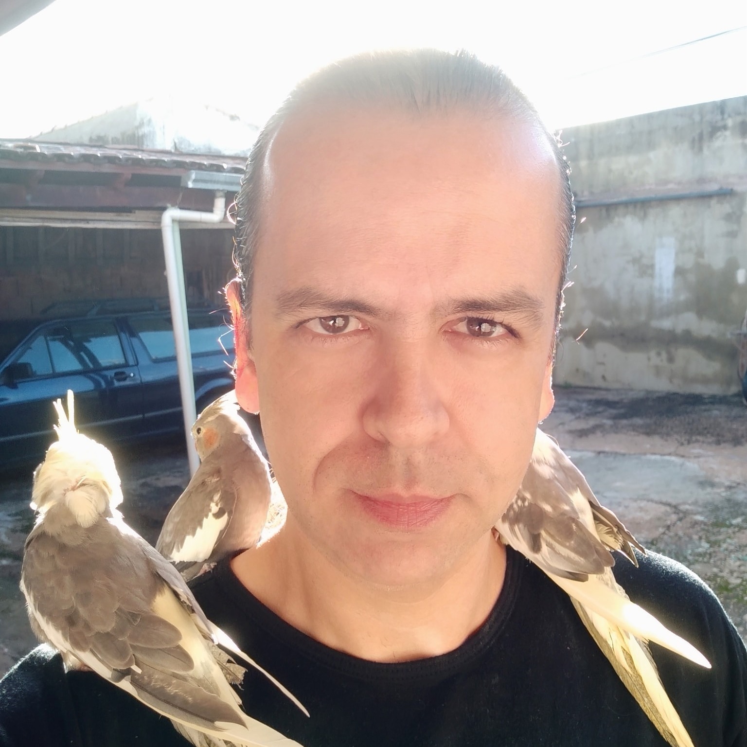 Jean Carlo Borges