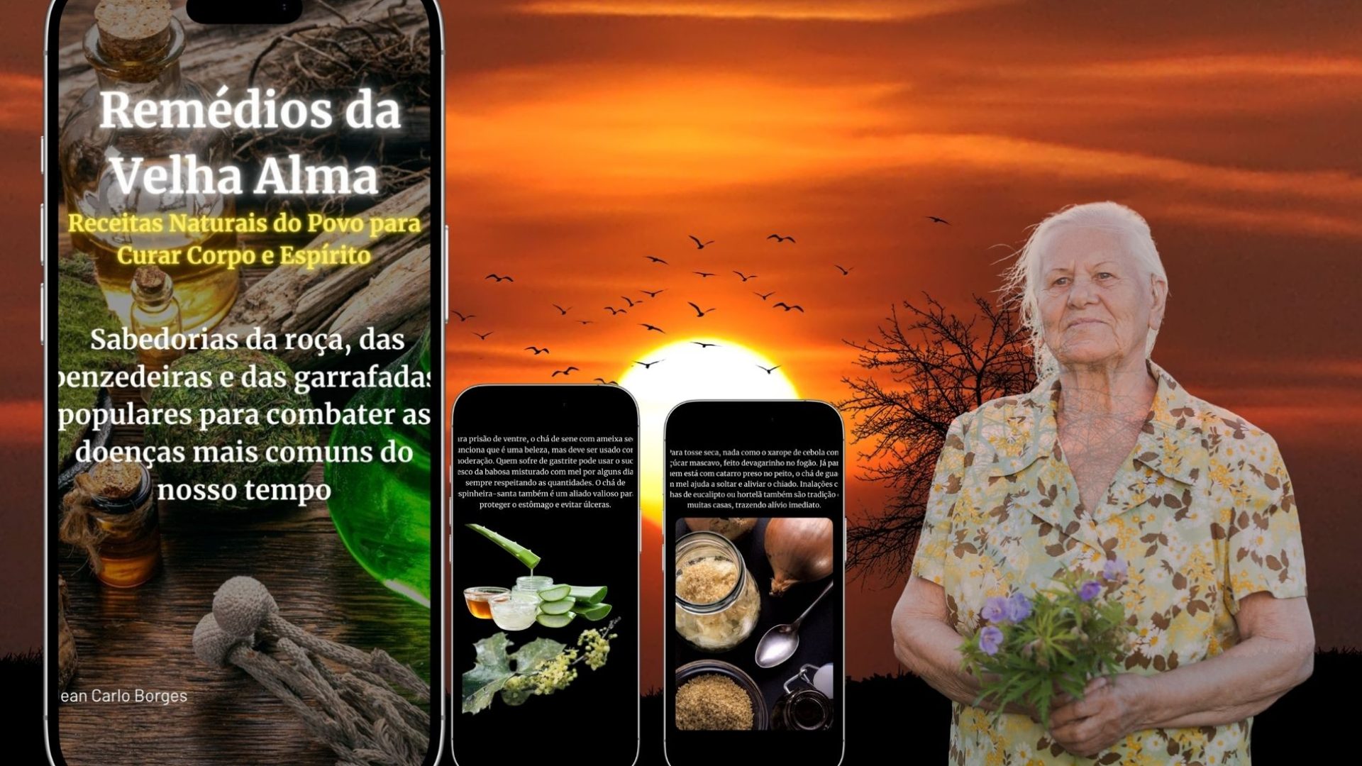 banner remédios da velha Alma